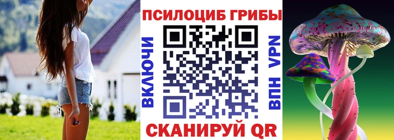 Псилоцибиновые грибы GOLDEN TEACHER  Липецк 